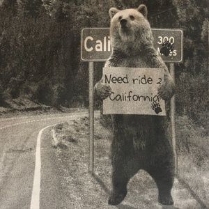 Need ride 2 California Bear Shirt